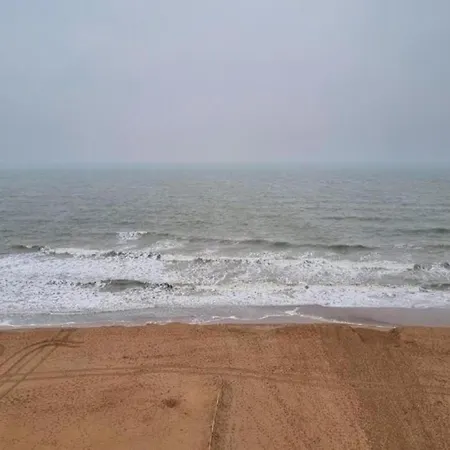 Near Sea And Dunes, Cleaning Included