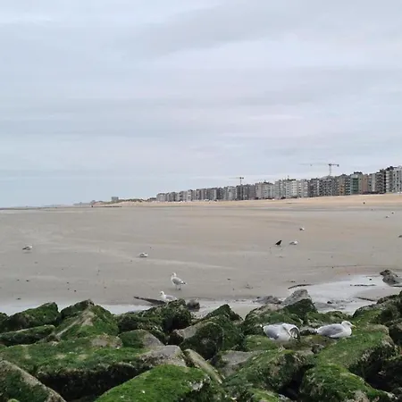 Near Sea And Dunes, Cleaning Included Apartamento