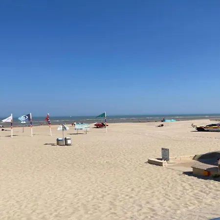 Near Sea And Dunes, Cleaning Included Koksijde