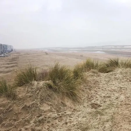 Near Sea And Dunes, Cleaning Included
