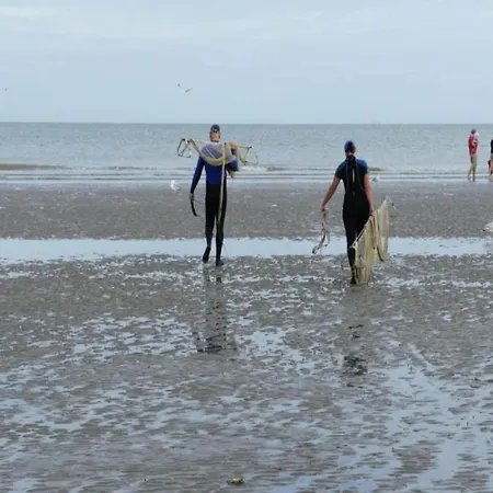 Near Sea And Dunes, Cleaning Included