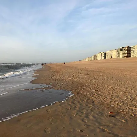 Near Sea And Dunes, Cleaning Included Apartamento